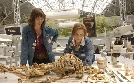 Bones - Die Knochenjägerin | TV-Programm von RTL SUPER