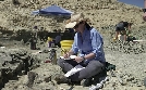 Geheimnisse der Jurassic-Saurier | TV-Programm von phoenix
