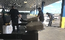 Border Force USA | TV-Programm von N24 Doku