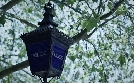 Last Night Out - Die letzte Nacht | TV-Programm von zdfinfo