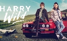 Harry Wild - Mörderjagd in Dublin | TV-Programm von ZDF