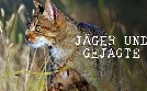 Jäger und Gejagte: Die Tierwelt der Iberischen Halbinsel | TV-Programm von arte