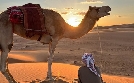 Abenteuer Oman | TV-Programm von 3sat