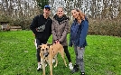 Der Hundeprofi - Rütters Team | TV-Programm von VOX