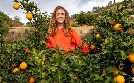 Orangen – Genuss mit Beigeschmack | TV-Programm von ZDF