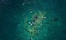 Hannes Jaenicke: Im Einsatz für den Oktopus  | Mo 27.07. 20:15 phoenix
