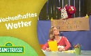 Sesamstraße | TV-Programm von NDR