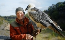 Kielings wilde Welt | TV-Programm von 3sat