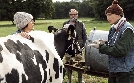 Viele Kühe und ein schwarzes Schaf | TV-Programm von Das Erste
