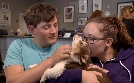 Tierarzt Dr. Jeff - Der Rocky Mountain Doc | TV-Programm von TLC
