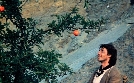 Der Furchtlose | TV-Programm von mdr