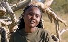 Mitbestimmung im Tierreich | TV-Programm von arte
