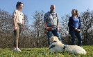 Der Hundeprofi - Rütters Team | TV-Programm von VOX