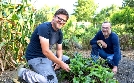 Garten und lecker | TV-Programm von WDR