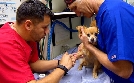 Tierarzt Dr. Jeff - Der Rocky Mountain Doc | TV-Programm von TLC