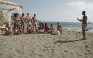 All Star Shore | TV-Programm von MTV