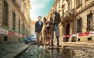 Kommissar Rex | TV-Programm von SAT.1