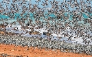The Kimberley | TV-Programm von arte