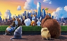 Pets | TV-Programm von SAT.1