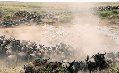 Masai Mara | TV-Programm von arte