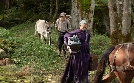 Jakobs Ross | TV-Programm von arte