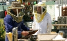 CSI: Den Tätern auf der Spur | TV-Programm von VOX