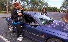 Highway Patrol | TV-Programm von SPORT 1