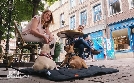 Der Hundeprofi - Rütters Team | TV-Programm von VOX