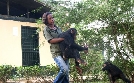 Schimpansen im Kongo mit Jane Goodall | TV-Programm von arte