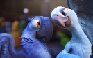 Rio | TV-Programm von Disney Channel