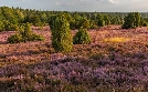 Heimat Natur | TV-Programm von arte