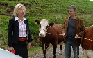 Schwarzwaldliebe | TV-Programm von SWR