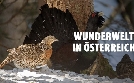 Das Tote Gebirge: Wunderwelt in Österreich | TV-Programm von arte