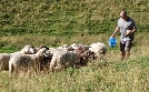 natur exclusiv | TV-Programm von BR