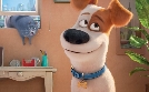 Pets | TV-Programm von SAT.1