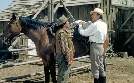 Weites Land | TV-Programm von arte