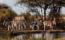 Die großen Wanderungen | TV-Programm von phoenix