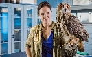 Tierärztin Dr. Mertens | TV-Programm von ONE HD