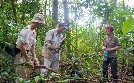 Die wimmelnde Welt der Termiten | TV-Programm von arte