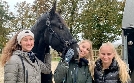 Die Pferdeprofis | TV-Programm von VOX
