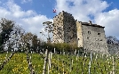 Die Habsburger in Europa | TV-Programm von 3sat