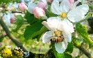 natur exclusiv | TV-Programm von BR