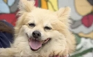 Tierarzt Dr. Jeff - Der Rocky Mountain Doc | TV-Programm von TLC