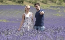 Ein Sommer in Südfrankreich | TV-Programm von 3sat