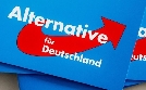 Inside AfD | TV-Programm von phoenix