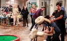 2 Broke Girls | TV-Programm von ProSieben