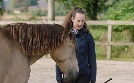 Die Pferdeprofis | TV-Programm von VOX