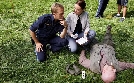 Die Rosenheim-Cops | TV-Programm von ZDF