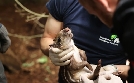Die Zoo-Docs | TV-Programm von SWR