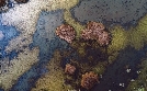 Serbien - Land des Wassers | TV-Programm von arte